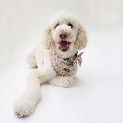 Bisque Bloom Harness