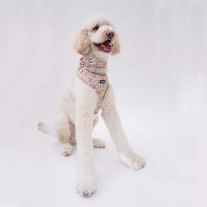 Bisque Bloom Harness Set