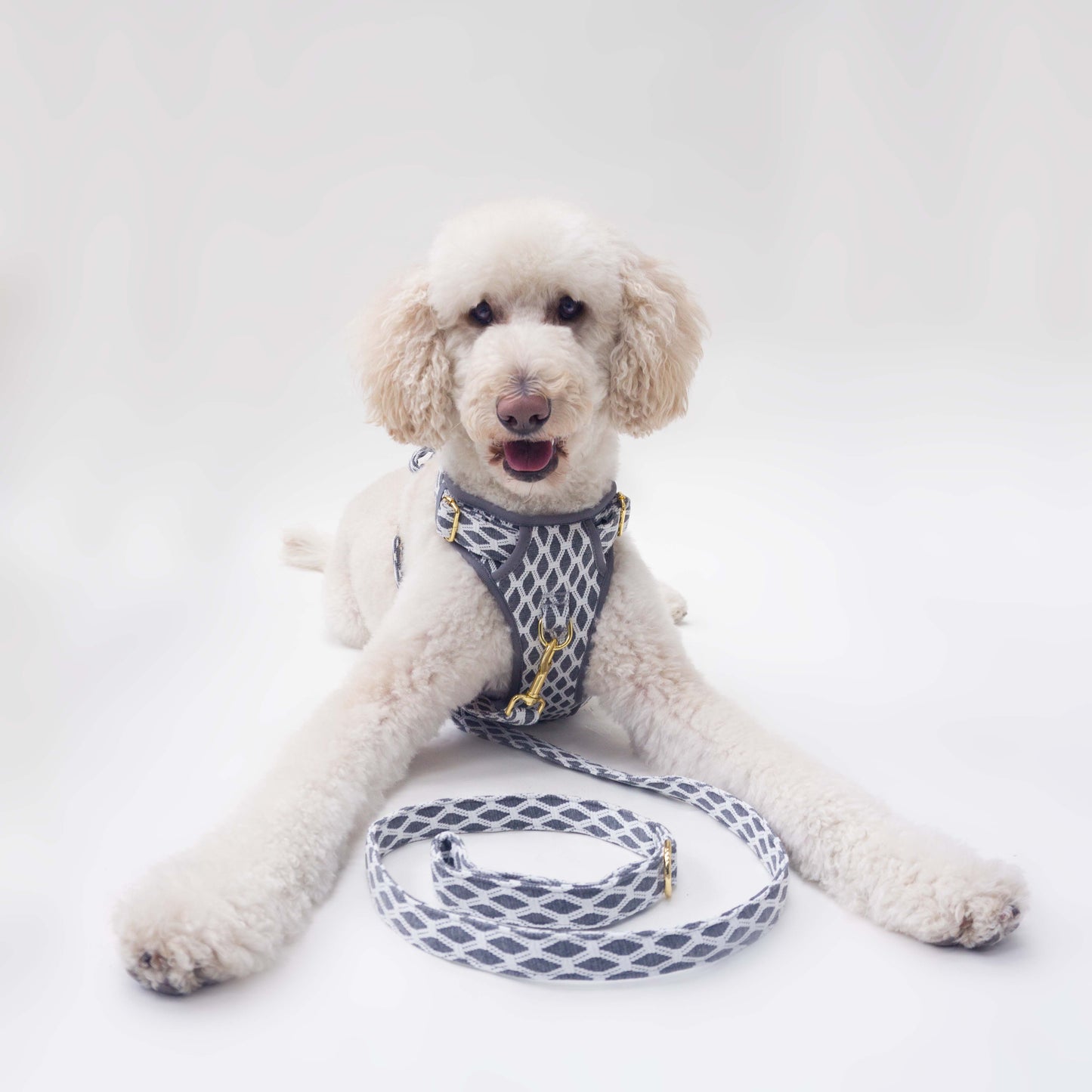 Hazey Grey Leash